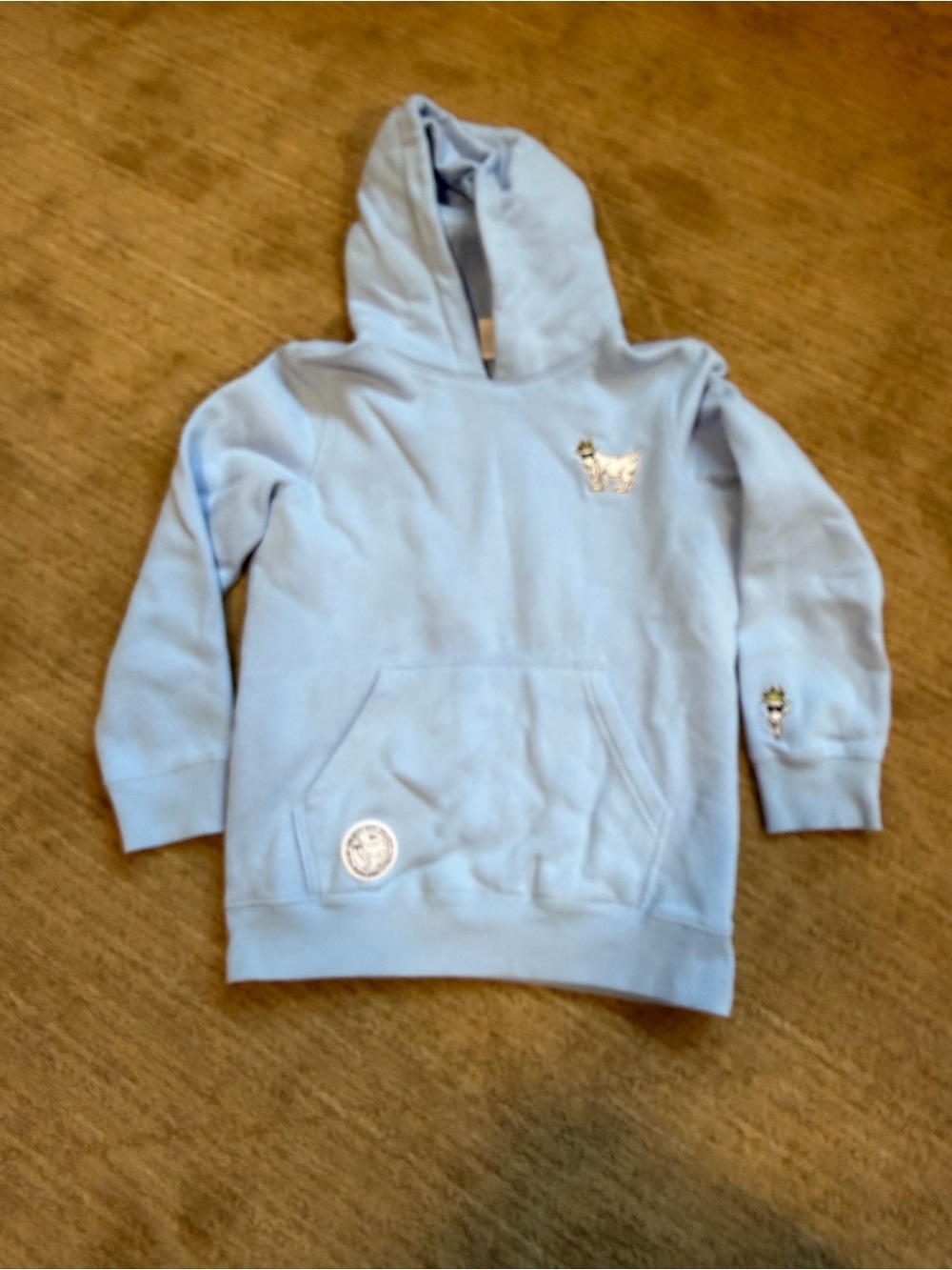 Kids Light Blue Goat USA Pullover Hoodie